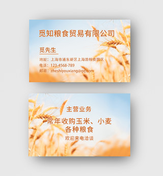 黄色写实背景小麦收购粮食收购粮食贸易公司名片种子名片
